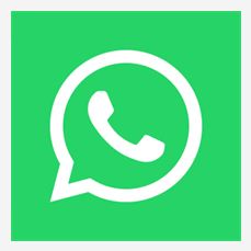 WhatsApp Icon