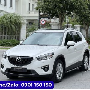 Thủ tục thuê xe tự lái tại Đà Nẵng Travel Car